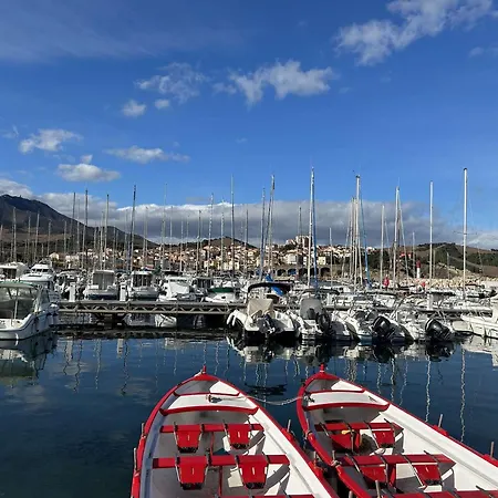 Appartement 3 Pieces Banyuls-Sur-Mer Avec Parking Et Climatisation - Fr-1-225C-168 בניולס-סור-מר